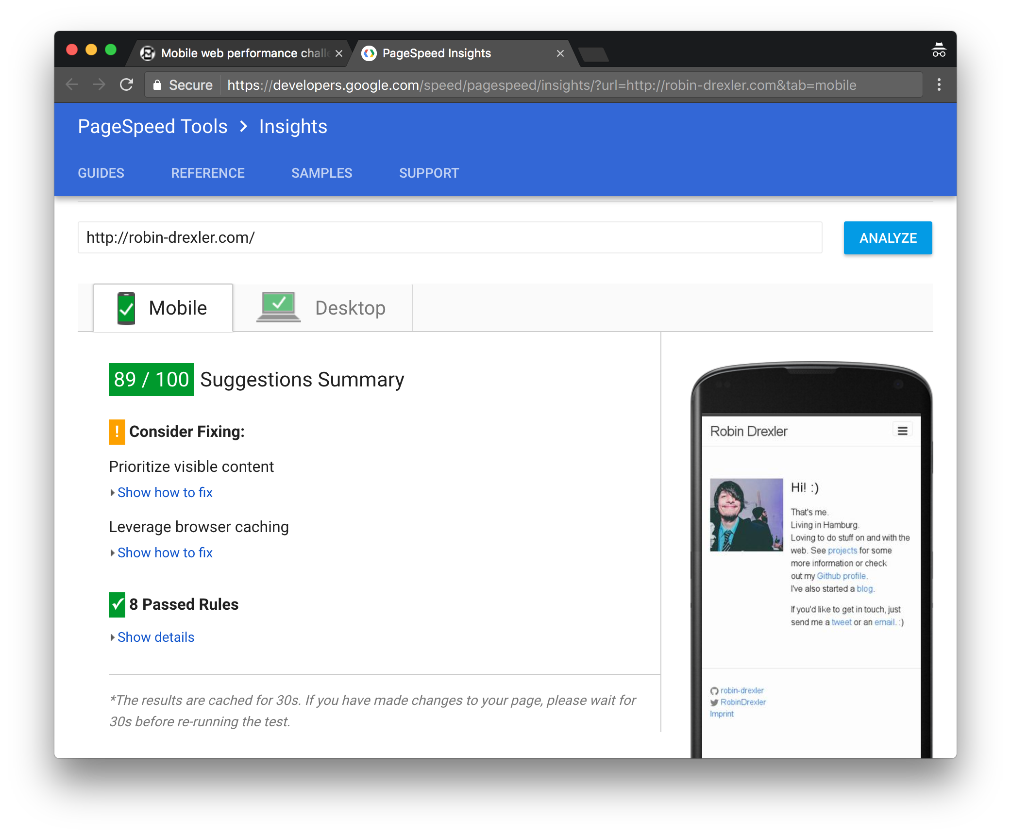 Screenshot pagespeed insights